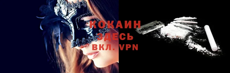 Все наркотики Новоалександровск KRAKEN зеркало  Codein  Меф мяу мяу  COCAIN  Alpha-PVP  ГАШ 